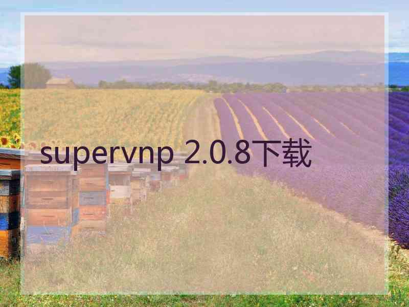 supervnp 2.0.8下载