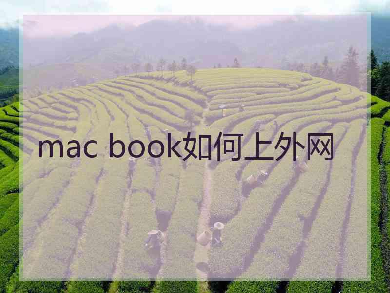 mac book如何上外网