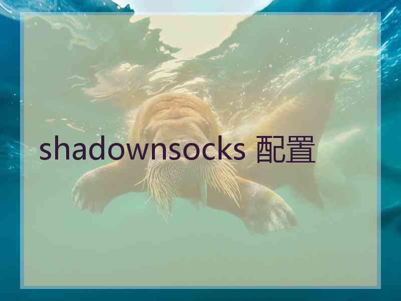 shadownsocks 配置