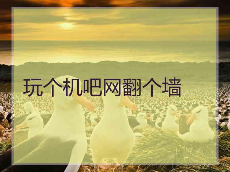 玩个机吧网翻个墙