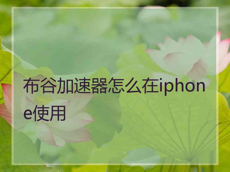 布谷加速器怎么在iphone使用