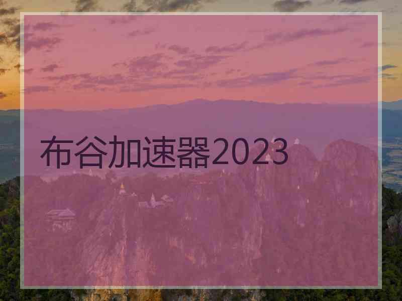 布谷加速器2023