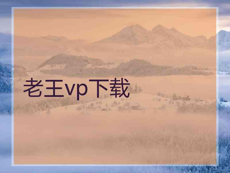 老王vp下载