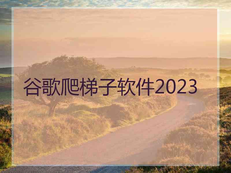 谷歌爬梯子软件2023