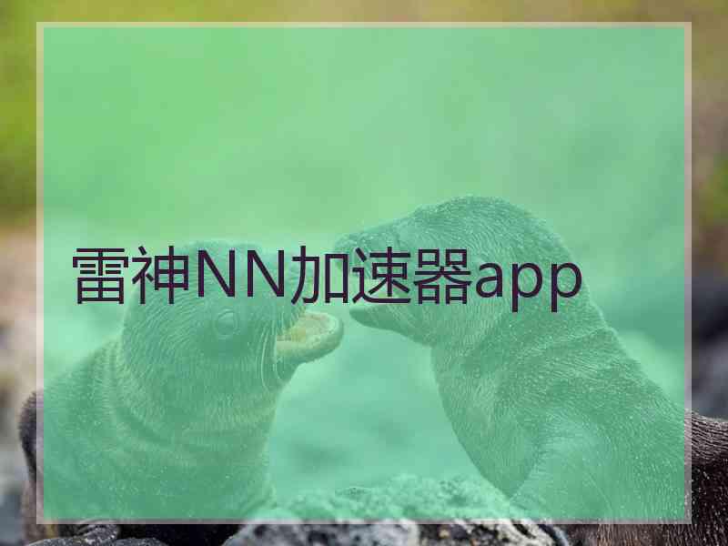 雷神NN加速器app