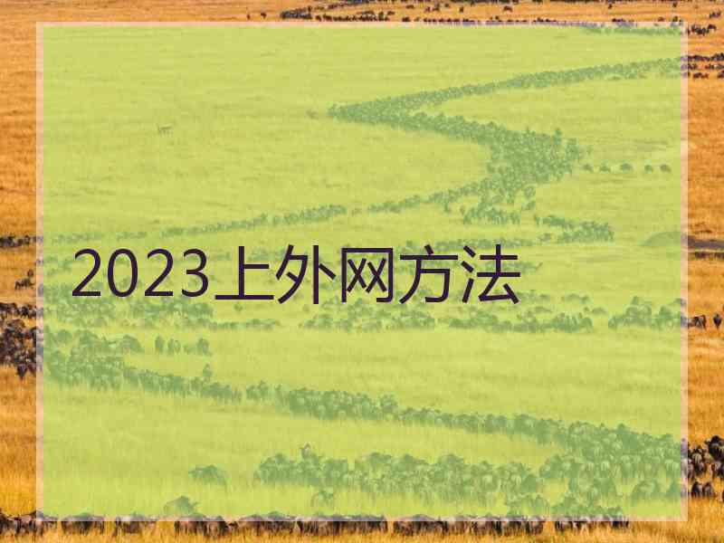 2023上外网方法