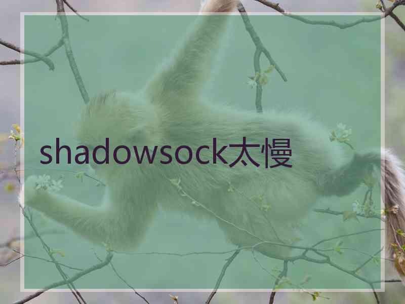 shadowsock太慢