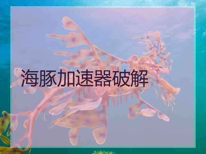 海豚加速器破解