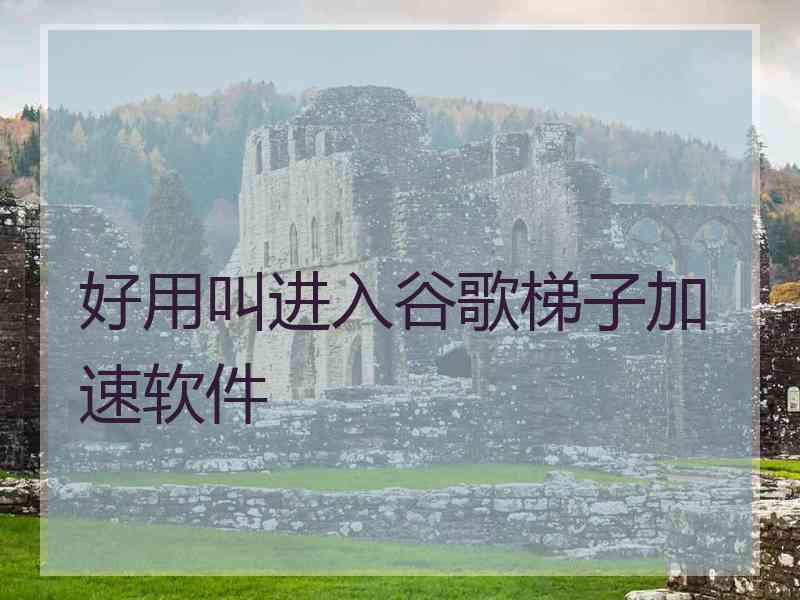 好用叫进入谷歌梯子加速软件