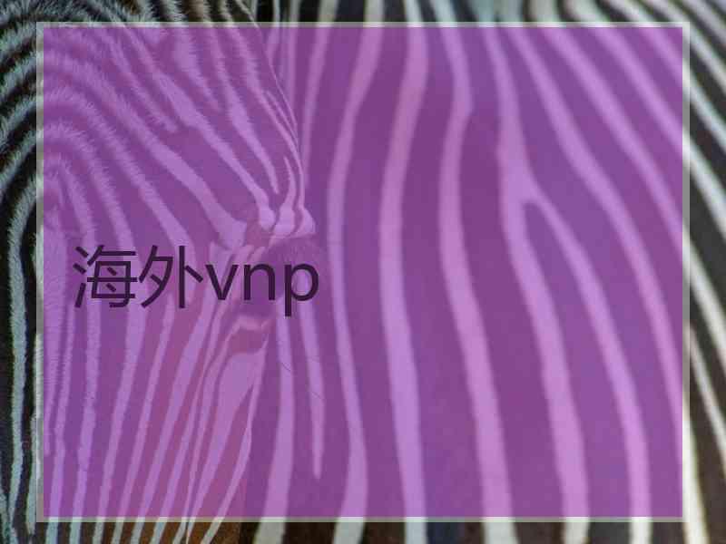 海外vnp