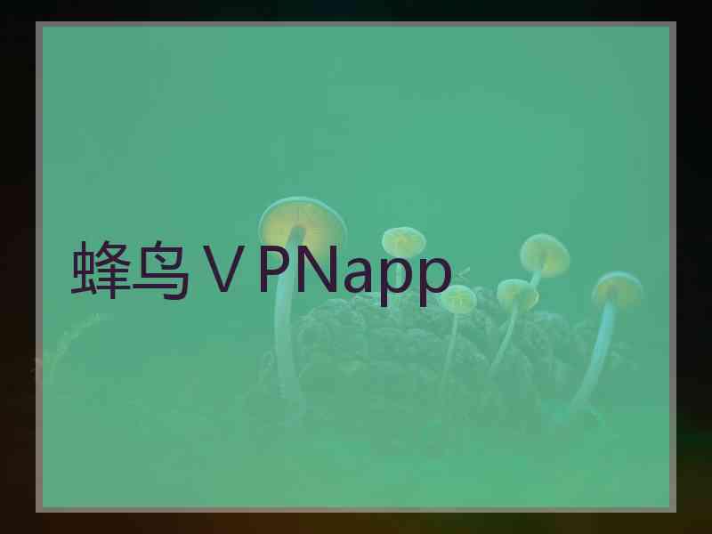 蜂鸟ⅤPNapp