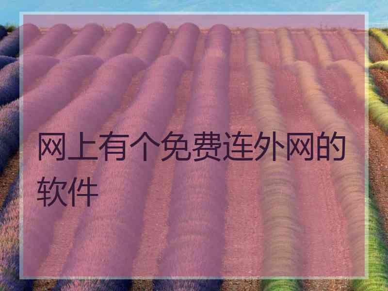 网上有个免费连外网的软件