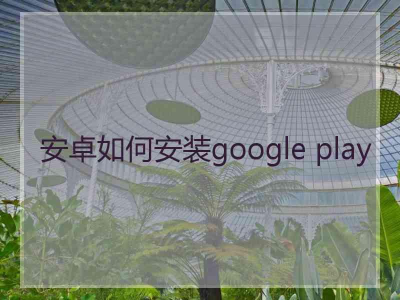 安卓如何安装google play