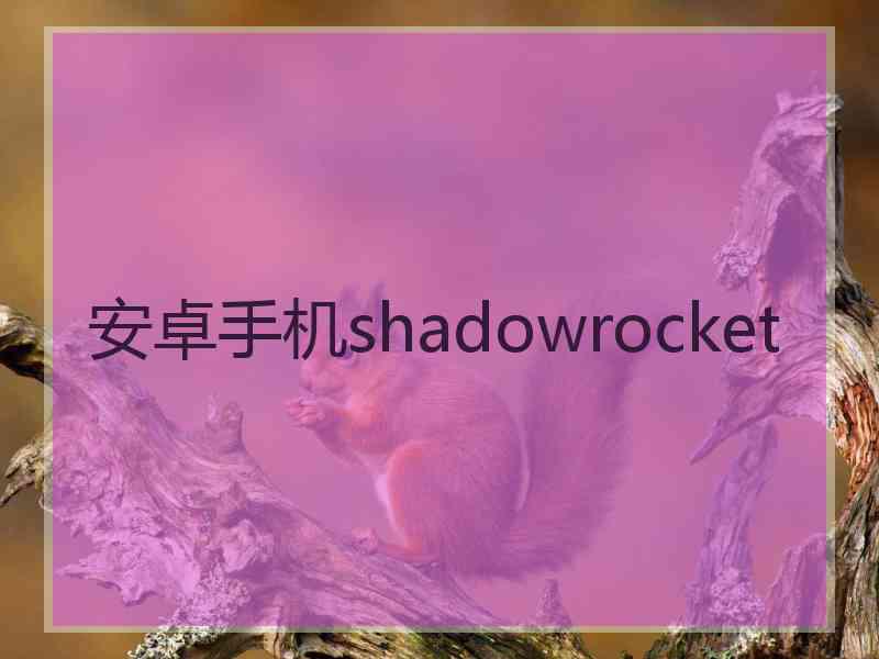 安卓手机shadowrocket