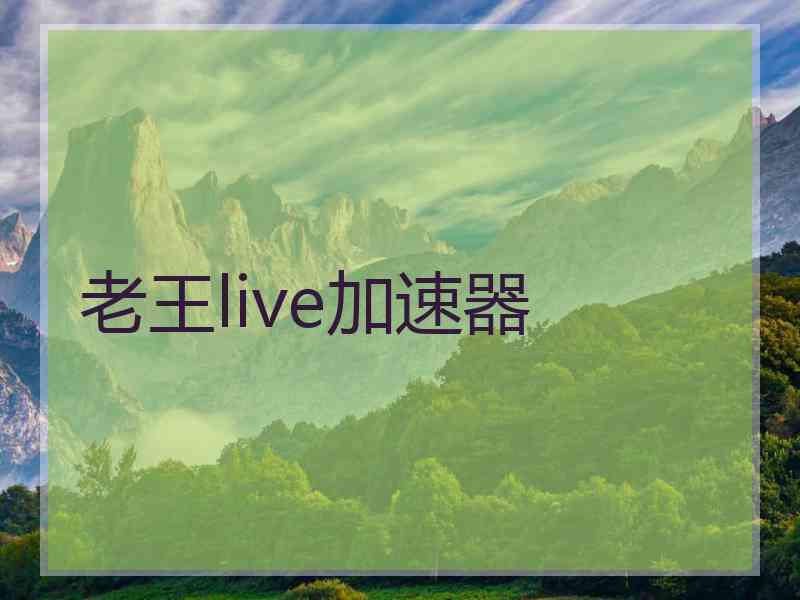 老王live加速器