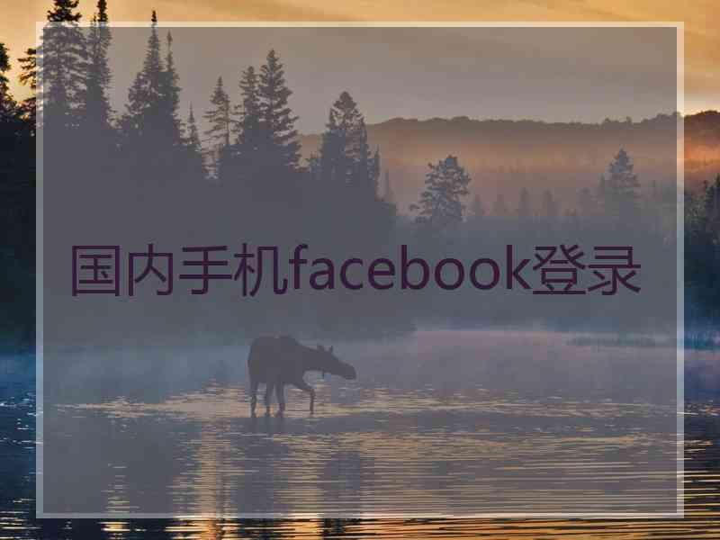 国内手机facebook登录