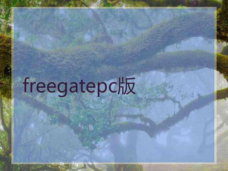 freegatepc版