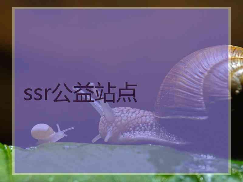 ssr公益站点