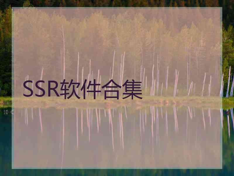 SSR软件合集