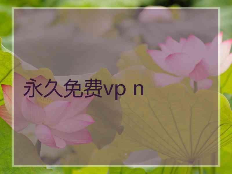 永久免费vp n