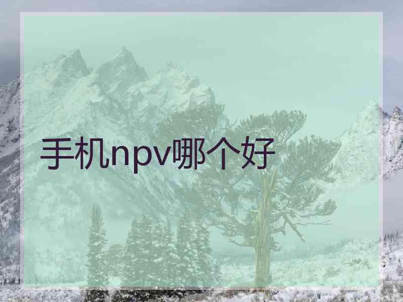 手机npv哪个好