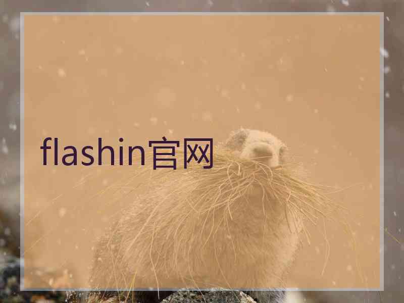 flashin官网