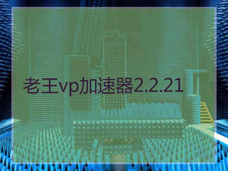 老王vp加速器2.2.21