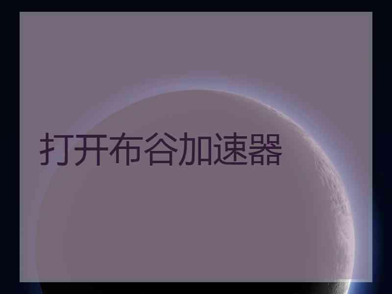 打开布谷加速器
