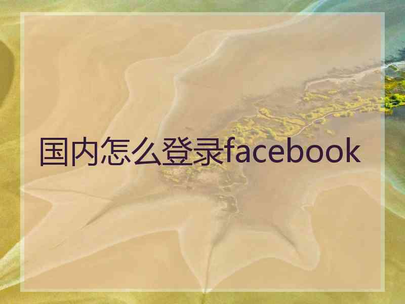 国内怎么登录facebook