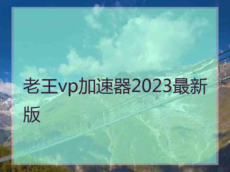 老王vp加速器2023最新版