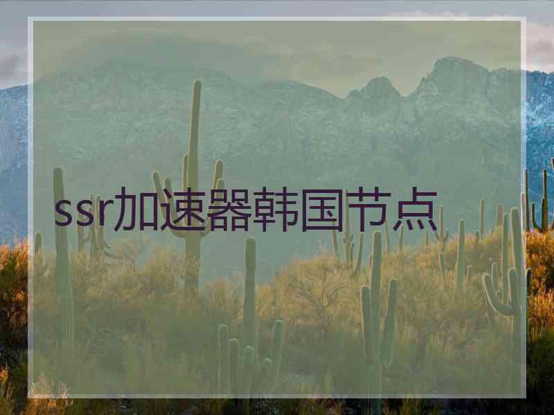 ssr加速器韩国节点