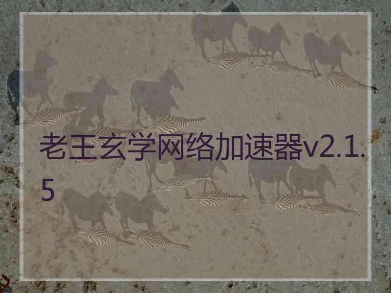 老王玄学网络加速器v2.1.5