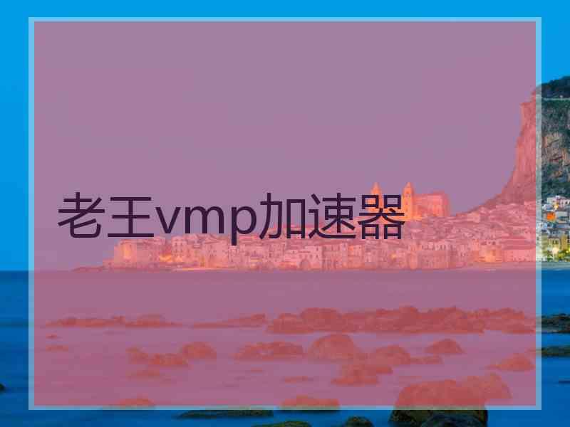 老王vmp加速器