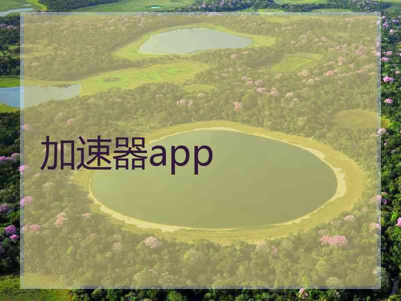 加速器app