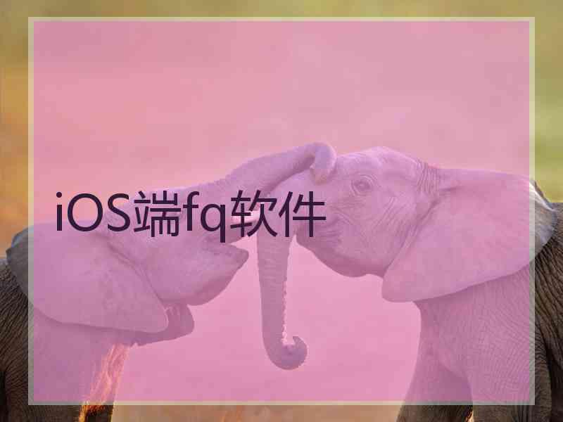 iOS端fq软件