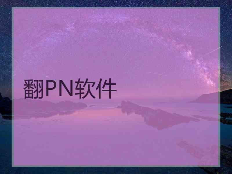 翻PN软件