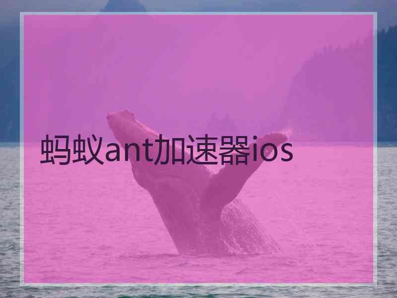蚂蚁ant加速器ios