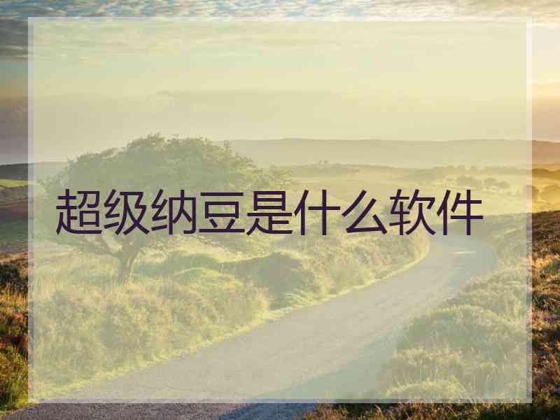 超级纳豆是什么软件
