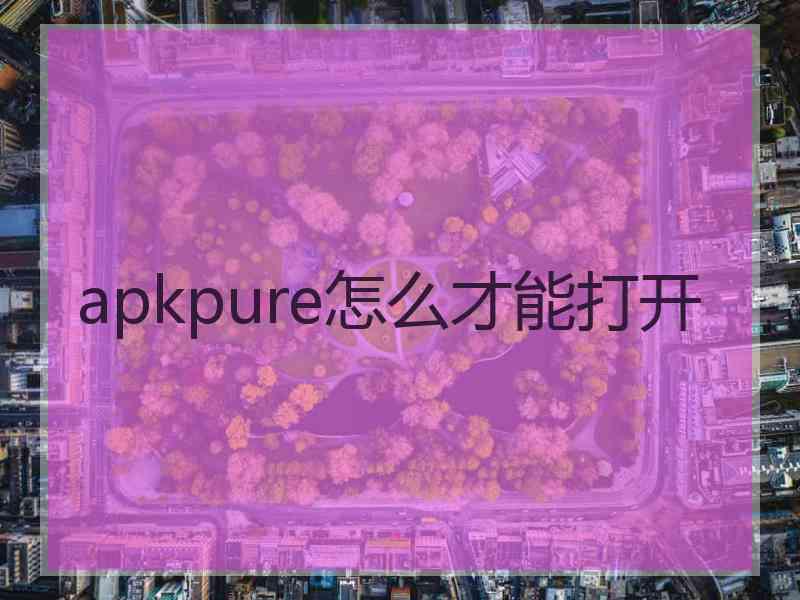 apkpure怎么才能打开