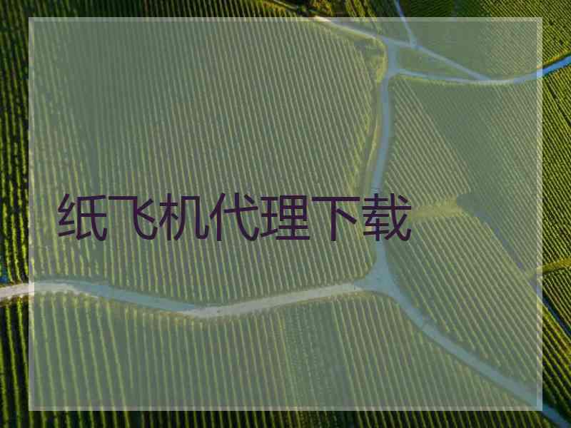 纸飞机代理下载