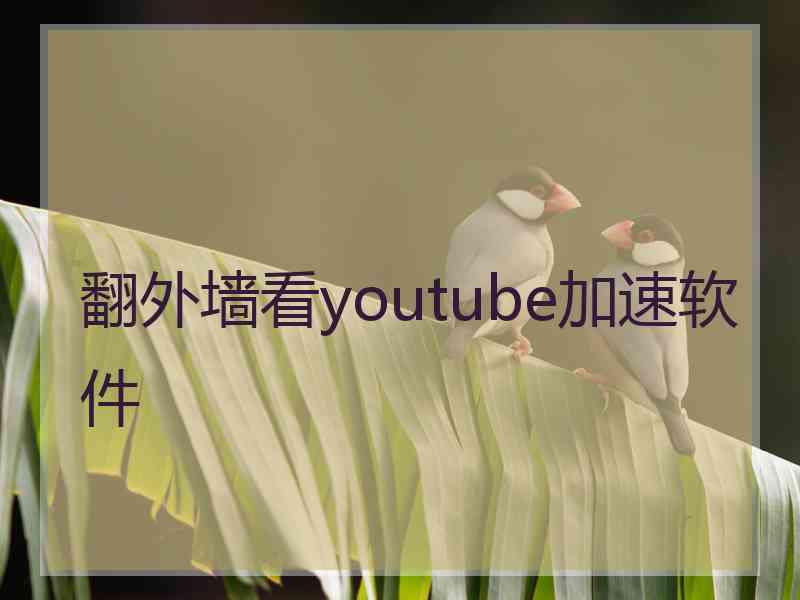 翻外墙看youtube加速软件