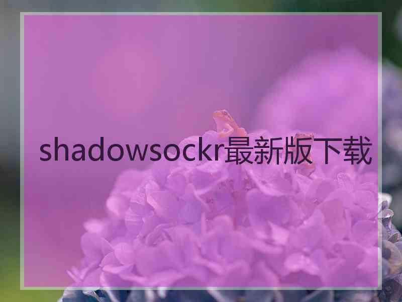 shadowsockr最新版下载