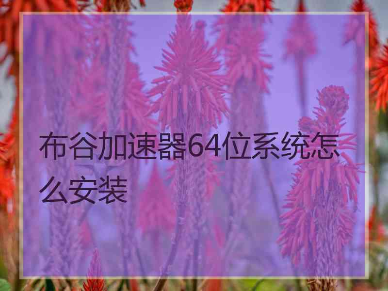 布谷加速器64位系统怎么安装