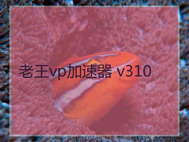 老王vp加速器 v310