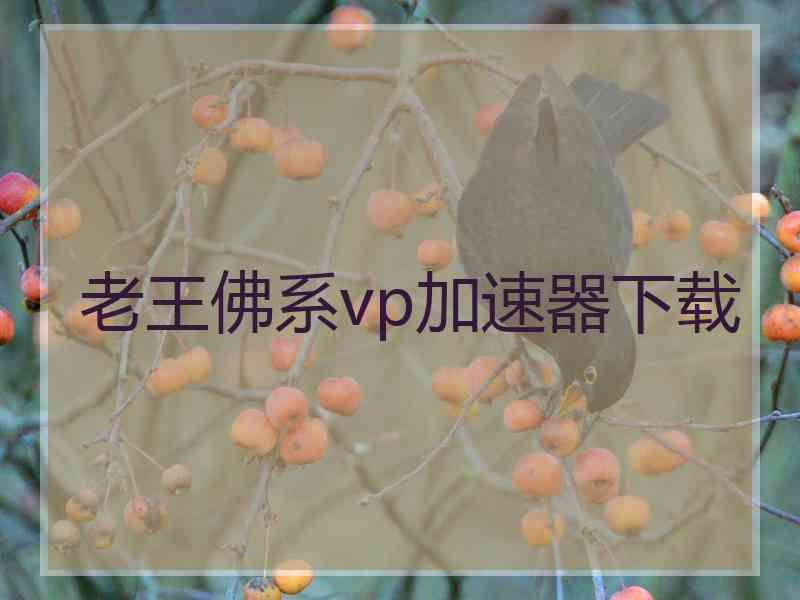 老王佛系vp加速器下载