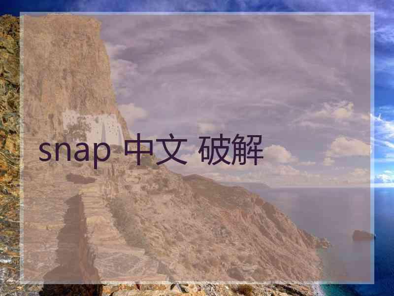 snap 中文 破解
