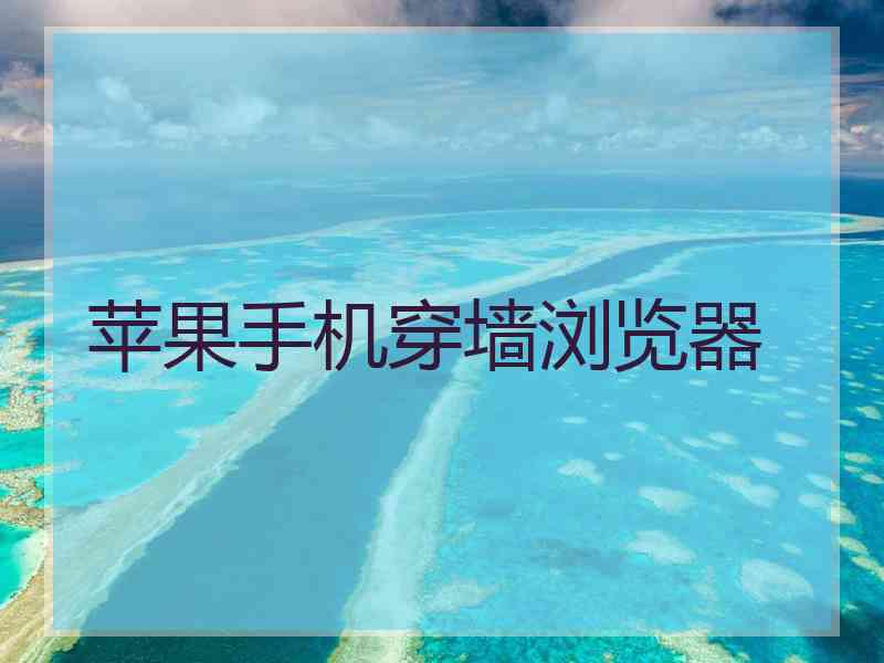 苹果手机穿墙浏览器