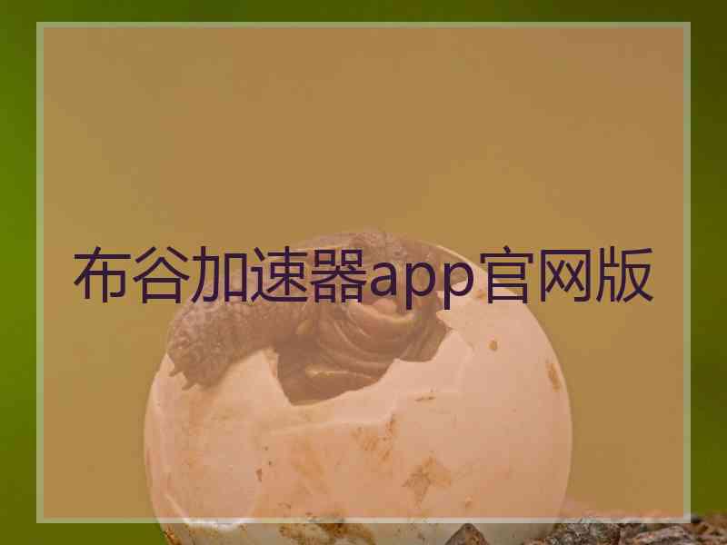 布谷加速器app官网版