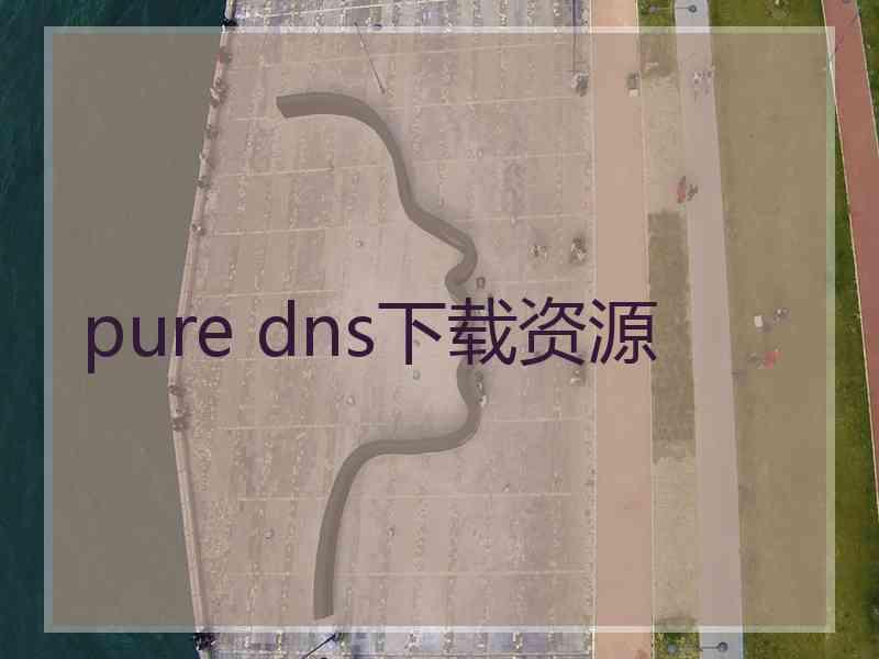 pure dns下载资源