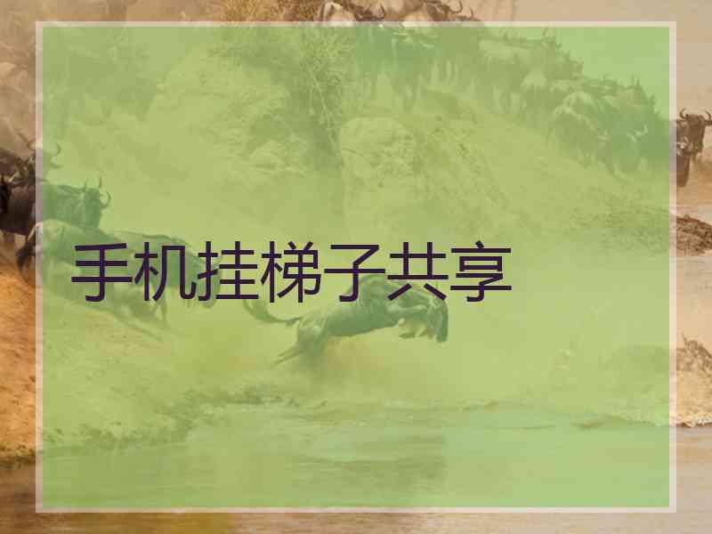 手机挂梯子共享
